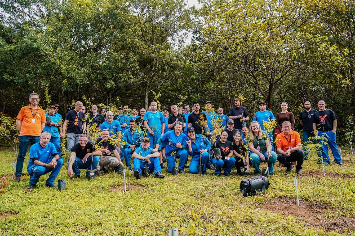 Empresa RIO celebra 80 anos com projeto de plantio de árvores nativas